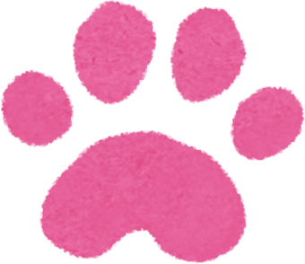 Illustration of a Pink Paw Print